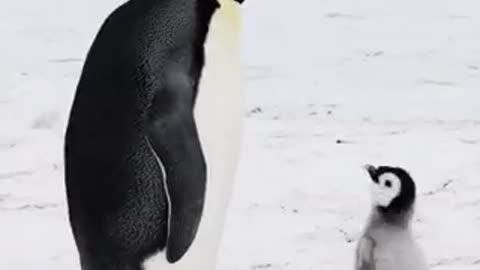 So cute