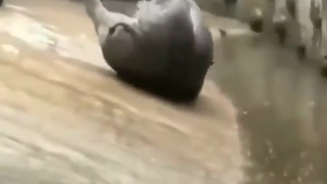 Strange Video #114