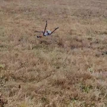 Russia's new drone-hunter