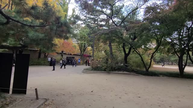 Visit Deoksugung Palace in Seoul, a palace in Korea.