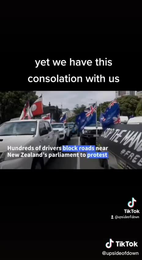 TRUCKER CONVOY FREEDOM