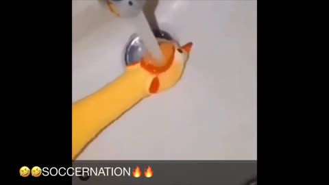 Don’t laugh challenge #2 hahahahah