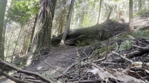 3 groms send the Chuckanut rock drop