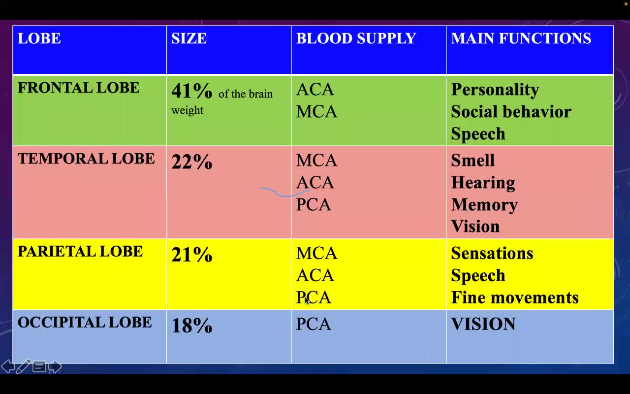 Neuro-vascular disorder - 1