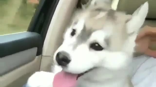 Just go out and have fun