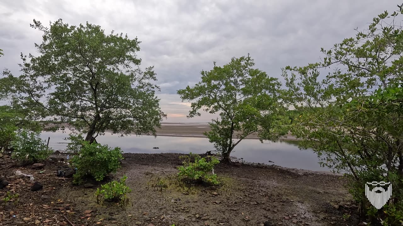 Nicaragua’s Hidden Paradise: Playa Poneloya 🇳🇮