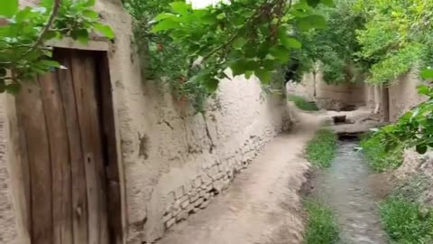 زیبایی زندگی The beauty of life