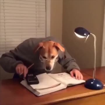 It's time to dine in town