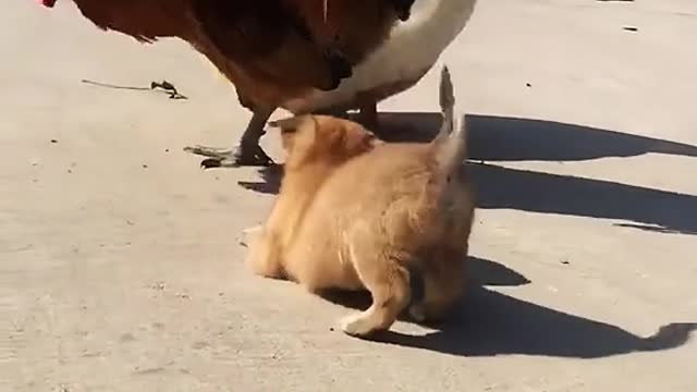 Thatshowcuteweare
