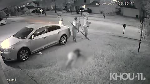 Dog attack caught on video outside Houston-area home | Raw video, no audio