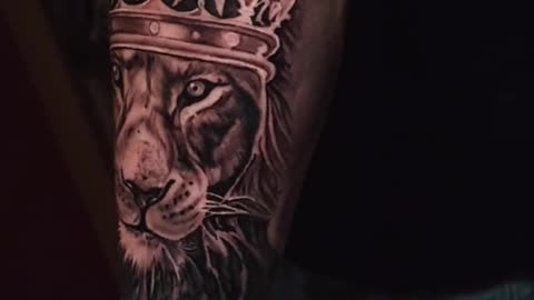 Lion tattoo