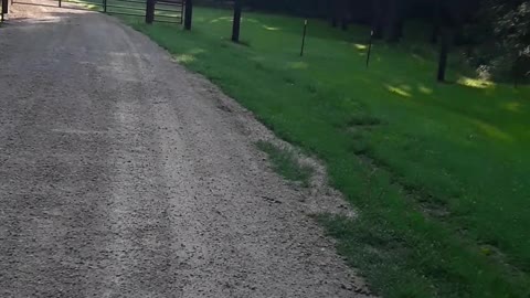 We have a WONDERFUL God and and a wonderful country, the USA