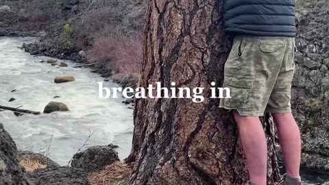 Grounding - The practice of physically connecting with the Earth’s surface