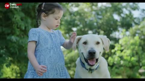 Protective Dog barks at babysitter, so hidden camera installed