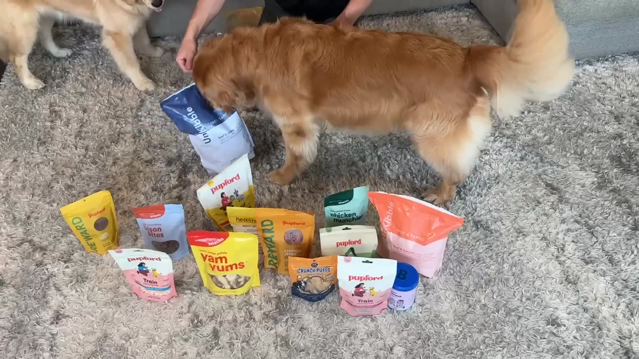 Finding the best dog treat!