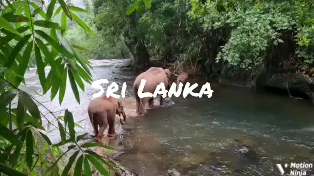 WONDER OF ASIA - Srilanka