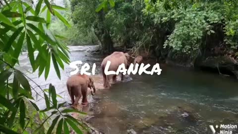 WONDER OF ASIA - Srilanka