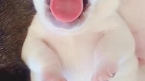 Video muy lindo deberas verlo
