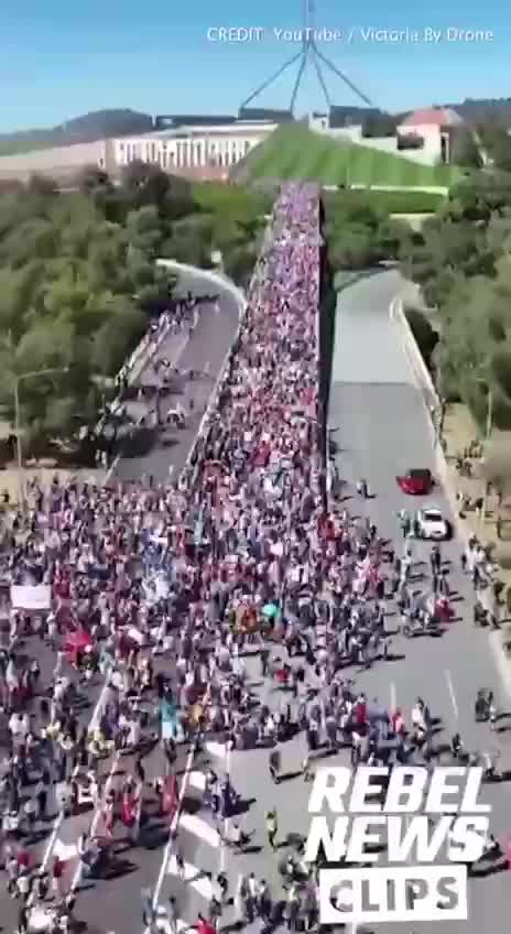Convoy of Freedom, Canberra (Konvoj svobody, Cambera)