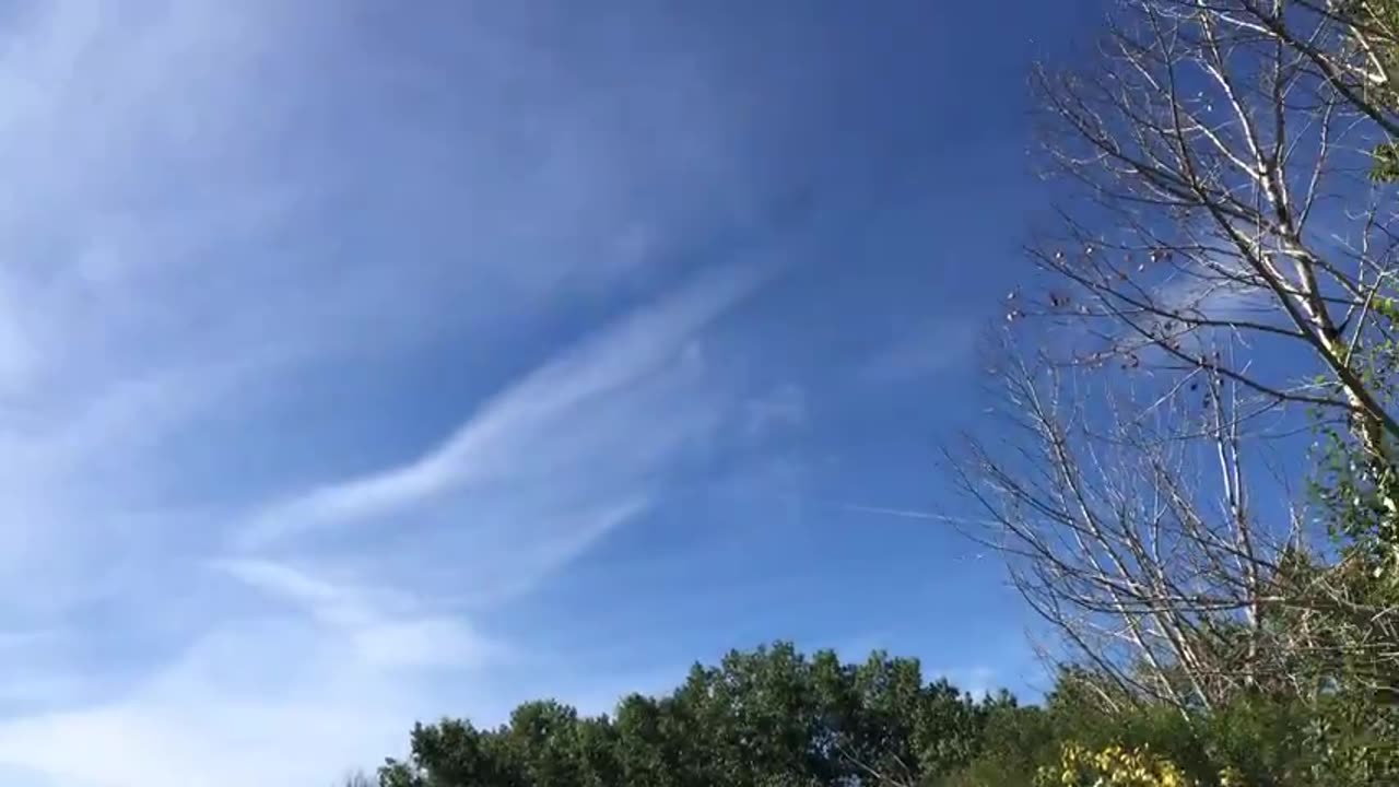 Spraying us like bugs