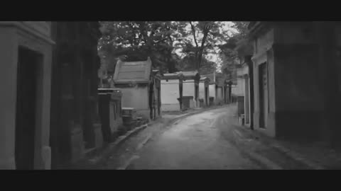 A timelapse video showing the beauty of Paris's largest cemetery goes viral