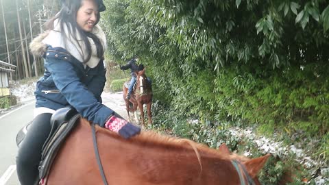 20210101 chú ngựa Nina toàn tranh thủ vặt lá ăn dọc đường