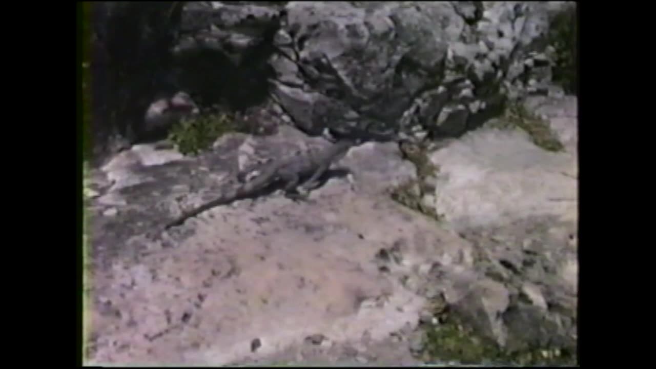 Cancun 1993 - Dick Sutphen & Tara Sutphen