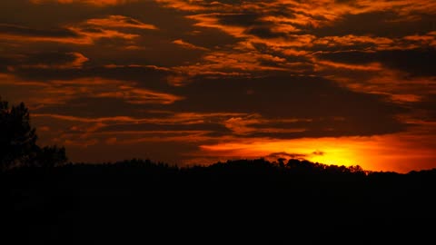 BEAUTIFUL SUNSET IN SUMMER