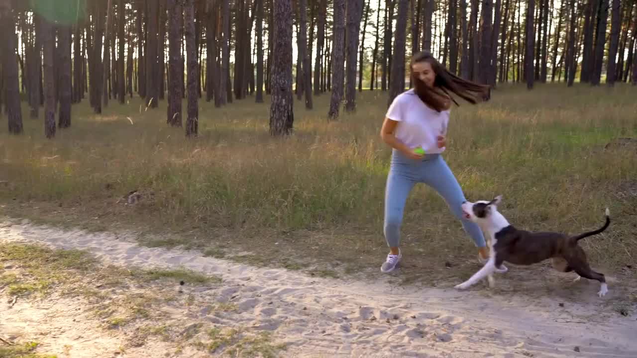 Girl playing with her dog in the forest at sunset