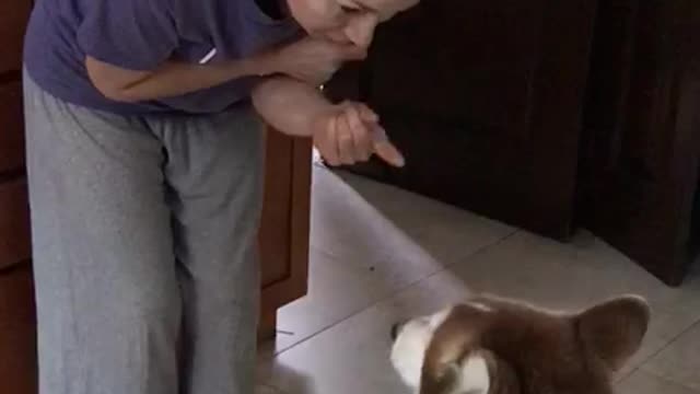 Husky refuses to be lectured after bad behavior