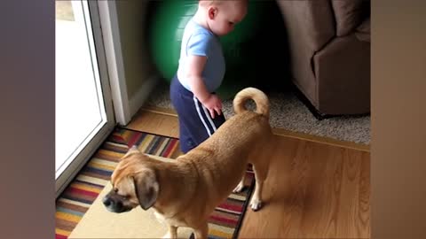 Cute Adorabile Babies Playing With Dogs And Cats-Funny Babies Compilations