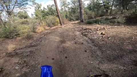 YZ250X woods riding in the mountains of Arizona