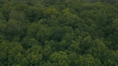 This Land