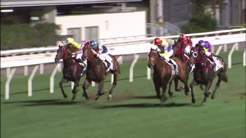 Horse_Race_2022052503_Chinese