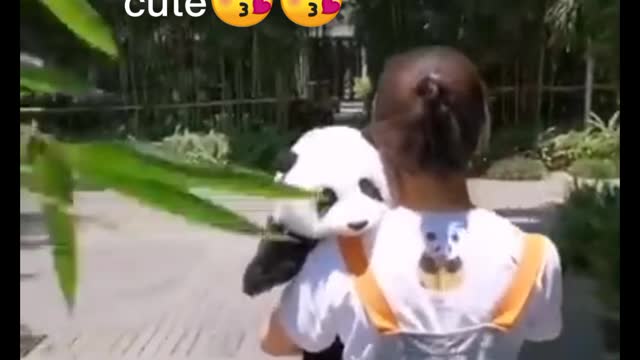 Cute 😘 panda girl giving love 💯😍