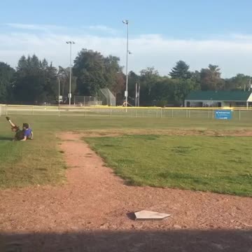 Dog Tackles Boy While He Rounds Third Base To Stop A Home Run