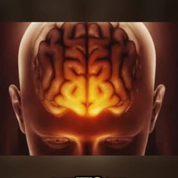 Unlocking Our Brain's Potential to Combat Climate Change