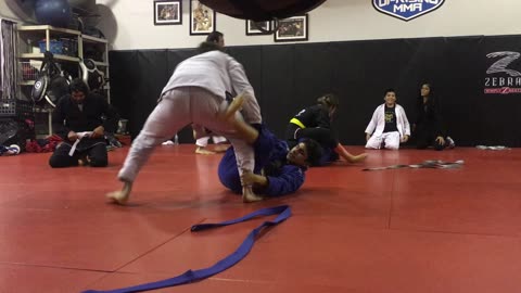 BJJ