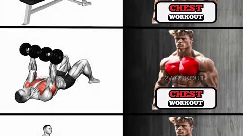 Chest Workout Routine #2workout #workout #chest #chestday #chestworkout #gymworkout