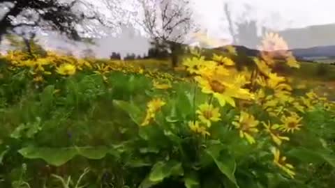 Time with God - June 19