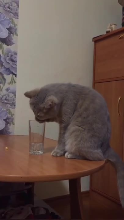 “If I may finish!”: Kamala goes ballistic when asked about Biden’s disaster presser