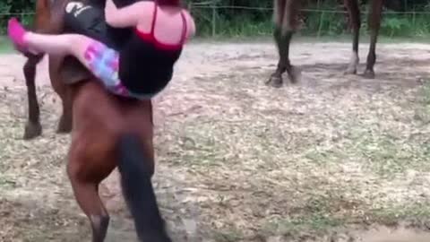 без умно лошады