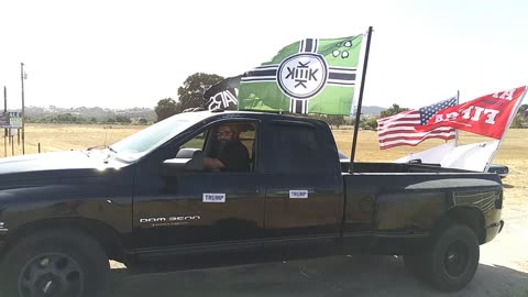 Trump Train