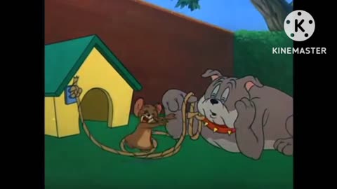 Tom and Jerry funny video cartoo