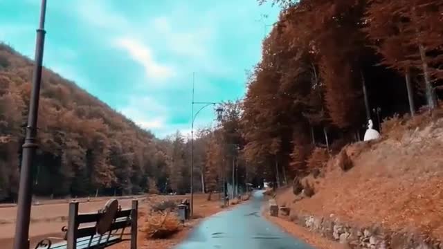 the beautiful scenery of nature #shorts #reels #naturephotography #nature #highlights #hills