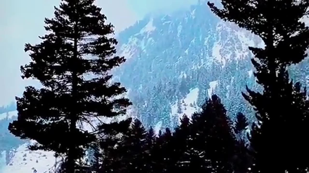 Snowfall in Kashmir Video