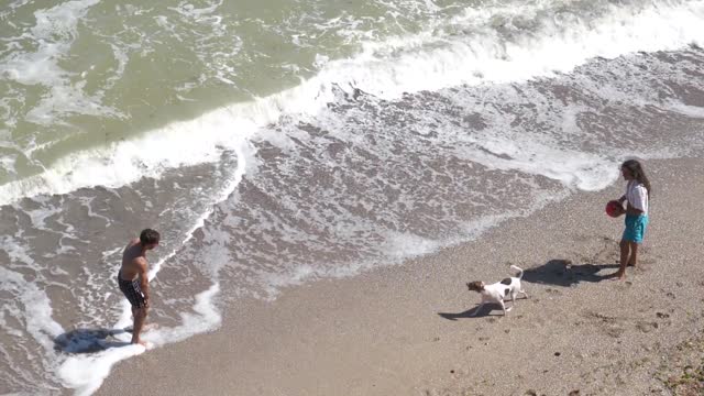 The dog is happy at the beach