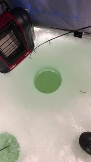 Icefishing Saginaw Bay for big lake trout