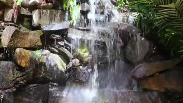 Waterfall with rocks and trees around it