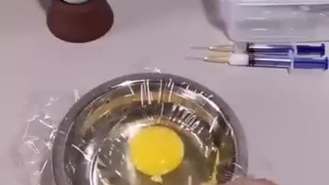 How a chick born from an egg